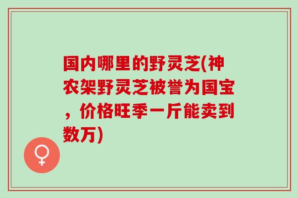国内哪里的野灵芝(神农架野灵芝被誉为国宝，价格旺季一斤能卖到数万)
