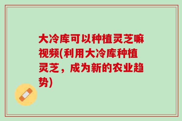 大冷库可以种植灵芝嘛视频(利用大冷库种植灵芝,成为新的农业趋势) 大冷库可以种植灵芝嘛视频(利用大冷库种植灵芝,成为新的农业趋势)