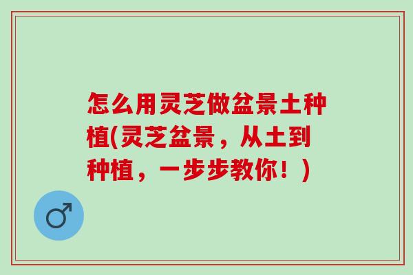 怎么用灵芝做盆景土种植(灵芝盆景，从土到种植，一步步教你！)