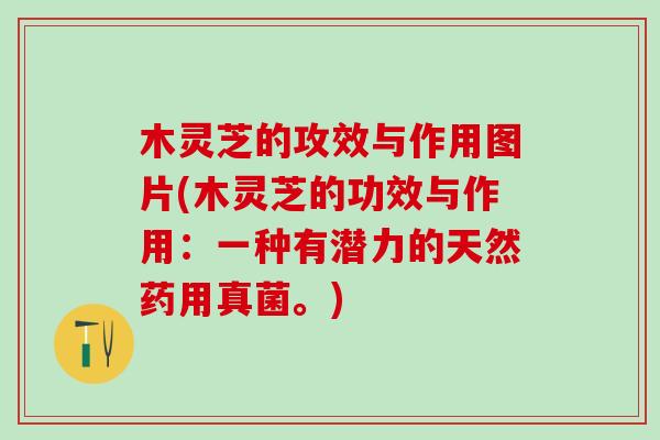 木灵芝的攻效与作用图片(木灵芝的功效与作用：一种有潜力的天然药用真菌。)
