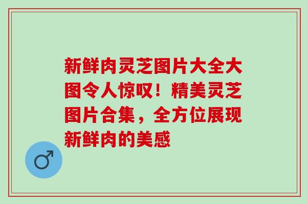 新鲜肉灵芝图片大全大图令人惊叹！精美灵芝图片合集，全方位展现新鲜肉的美感