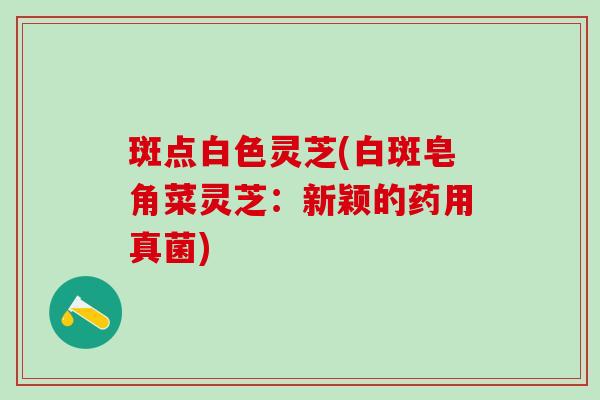 斑点白色灵芝(白斑皂角菜灵芝：新颖的药用真菌)