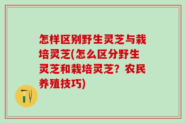 怎样区别野生灵芝与栽培灵芝(怎么区分野生灵芝和栽培灵芝？农民养殖技巧)