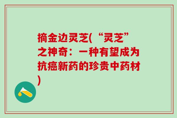 摘金边灵芝(“灵芝”之神奇：一种有望成为抗癌新药的珍贵中药材)