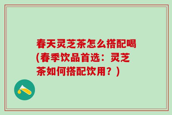 春天灵芝茶怎么搭配喝(春季饮品首选:灵芝茶如何搭配饮用?) 春天灵芝茶怎么搭配喝(春季饮品首选:灵芝茶如何搭配饮用?)