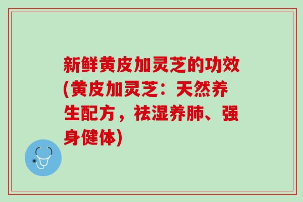 新鲜黄皮加灵芝的功效(黄皮加灵芝：天然养生配方，祛湿养、强身健体)