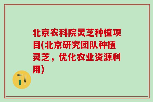 北京农科院灵芝种植项目(北京研究团队种植灵芝，优化农业资源利用)