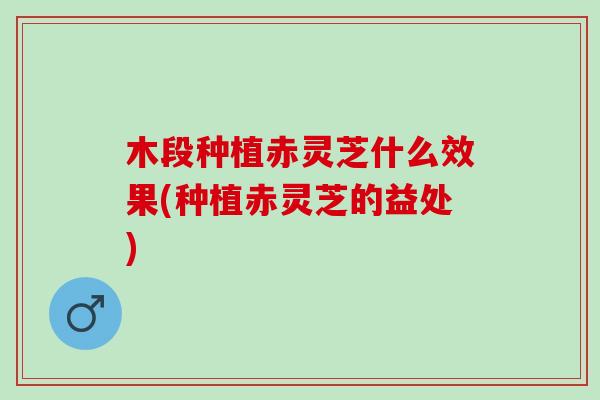 木段种植赤灵芝什么效果(种植赤灵芝的益处)