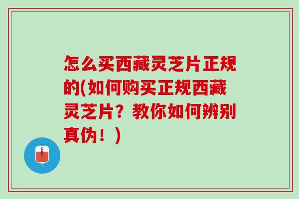 怎么买西藏灵芝片正规的(如何购买正规西藏灵芝片？教你如何辨别真伪！)