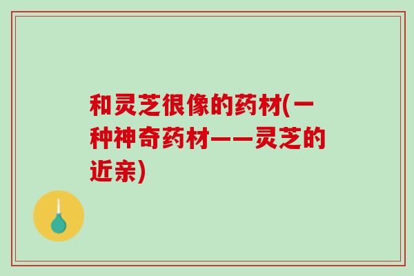 和灵芝很像的药材(一种神奇药材——灵芝的近亲)