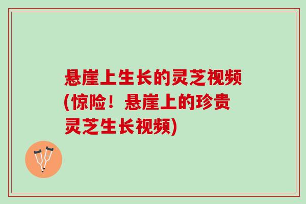 悬崖上生长的灵芝视频(惊险!悬崖上的珍贵灵芝生长视频) 悬崖上生长的灵芝视频(惊险!悬崖上的珍贵灵芝生长视频)