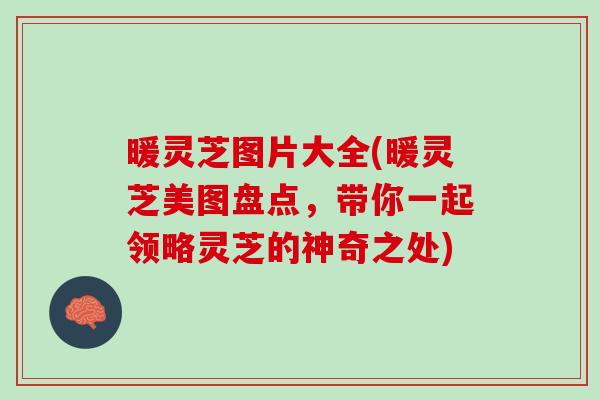 暖灵芝图片大全(暖灵芝美图盘点，带你一起领略灵芝的神奇之处)