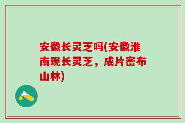 安徽长灵芝吗(安徽淮南现长灵芝，成片密布山林)