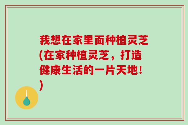 我想在家里面种植灵芝(在家种植灵芝,打造健康生活的一片天地!) 我想在家里面种植灵芝(在家种植灵芝,打造健康生活的一片天地!)