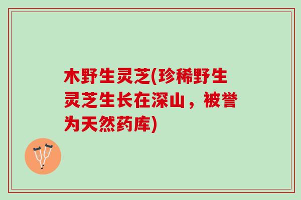 木野生灵芝(珍稀野生灵芝生长在深山，被誉为天然药库)