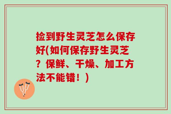 捡到野生灵芝怎么保存好(如何保存野生灵芝？保鲜、干燥、加工方法不能错！)