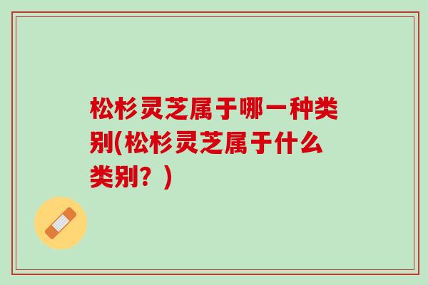 松杉灵芝属于哪一种类别(松杉灵芝属于什么类别?) 松杉灵芝属于哪一种类别(松杉灵芝属于什么类别?)
