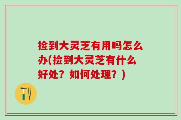 捡到大灵芝有用吗怎么办(捡到大灵芝有什么好处？如何处理？)
