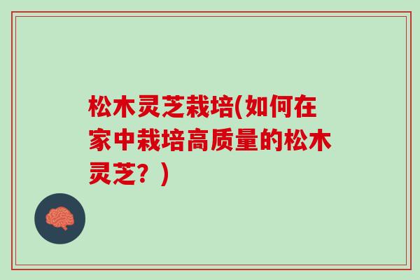 松木灵芝栽培(如何在家中栽培高质量的松木灵芝？)