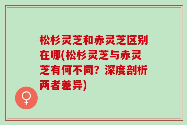 松杉灵芝和赤灵芝区别在哪(松杉灵芝与赤灵芝有何不同？深度剖析两者差异)