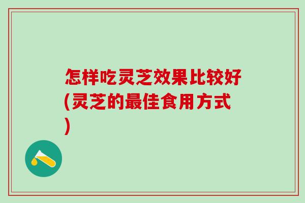 怎样吃灵芝效果比较好(灵芝的最佳食用方式)
