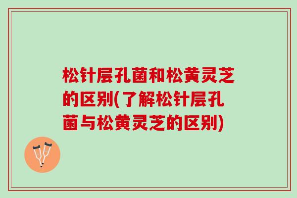 松针层孔菌和松黄灵芝的区别(了解松针层孔菌与松黄灵芝的区别)