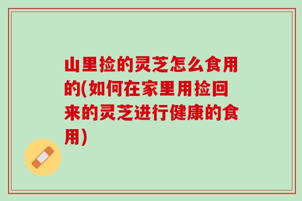山里捡的灵芝怎么食用的(如何在家里用捡回来的灵芝进行健康的食用)