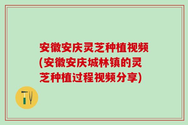 安徽安庆灵芝种植视频(安徽安庆城林镇的灵芝种植过程视频分享)