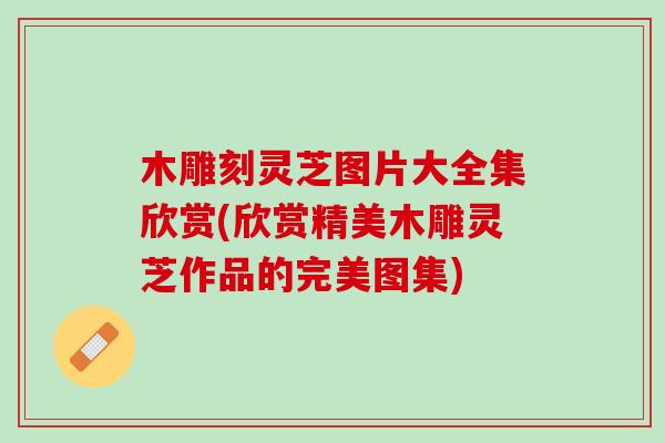 木雕刻灵芝图片大全集欣赏(欣赏精美木雕灵芝作品的完美图集)