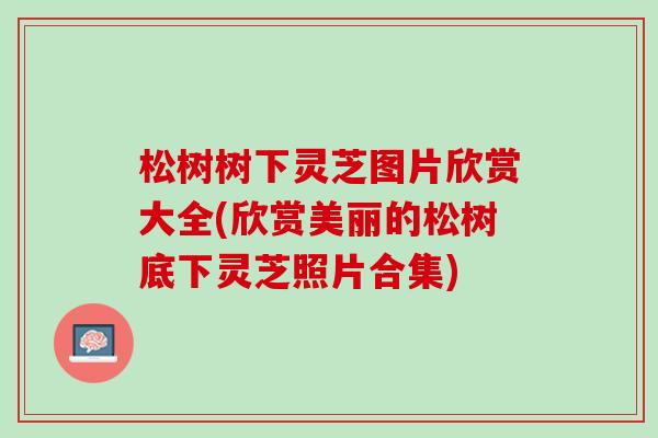 松树树下灵芝图片欣赏大全(欣赏美丽的松树底下灵芝照片合集)