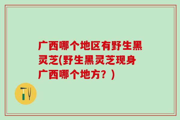 广西哪个地区有野生黑灵芝(野生黑灵芝现身广西哪个地方？)