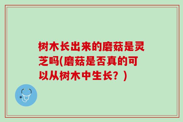 树木长出来的磨菇是灵芝吗(磨菇是否真的可以从树木中生长？)