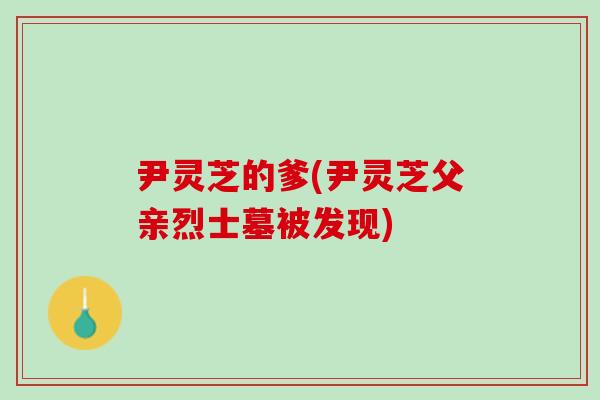 尹灵芝的爹(尹灵芝父亲烈士墓被发现)