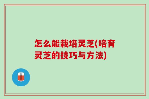 怎么能栽培灵芝(培育灵芝的技巧与方法)