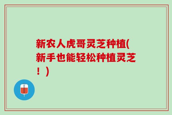新农人虎哥灵芝种植(新手也能轻松种植灵芝！)