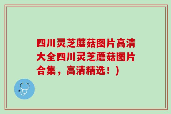四川灵芝蘑菇图片高清大全四川灵芝蘑菇图片合集,高清精选!) 四川灵芝蘑菇图片高清大全四川灵芝蘑菇图片合集,高清精选!)