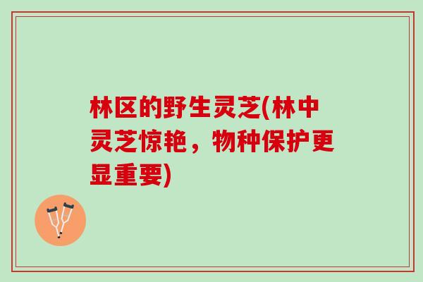 林区的野生灵芝(林中灵芝惊艳，物种保护更显重要)