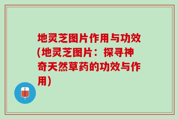 地灵芝图片作用与功效(地灵芝图片：探寻神奇天然草药的功效与作用)