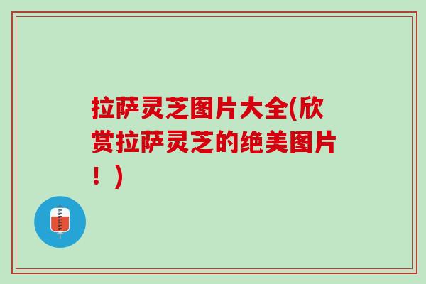 拉萨灵芝图片大全(欣赏拉萨灵芝的绝美图片！)
