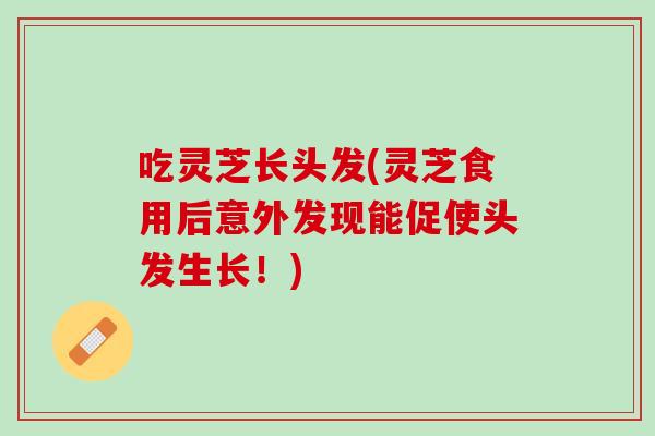 吃灵芝长头发(灵芝食用后意外发现能促使头发生长!) 吃灵芝长头发(灵芝食用后意外发现能促使头发生长!)