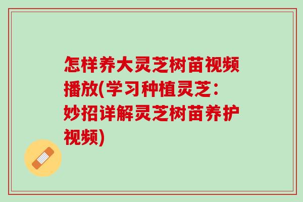 怎样养大灵芝树苗视频播放(学习种植灵芝：妙招详解灵芝树苗养护视频)