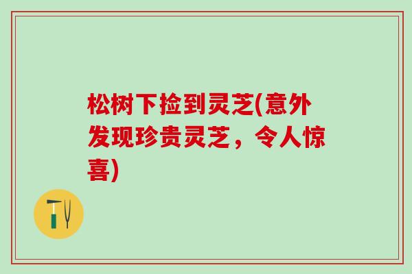松树下捡到灵芝(意外发现珍贵灵芝,令人惊喜) 松树下捡到灵芝(意外发现珍贵灵芝,令人惊喜)