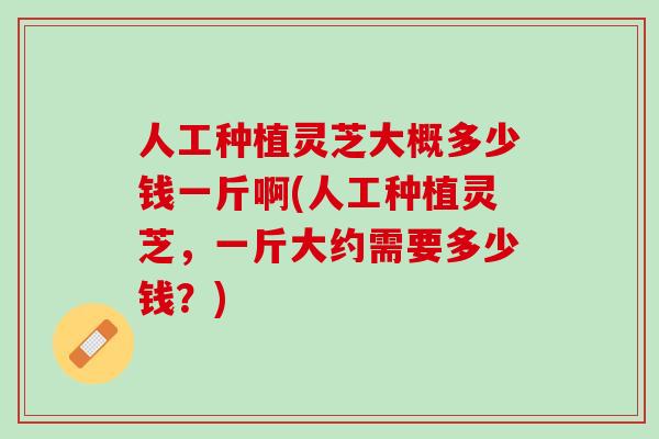 人工种植灵芝大概多少钱一斤啊(人工种植灵芝，一斤大约需要多少钱？)