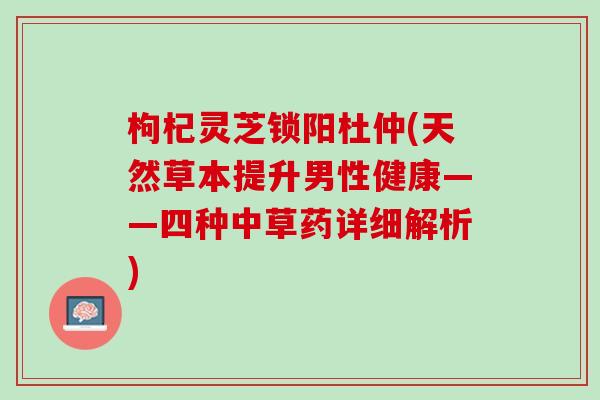 枸杞灵芝锁阳杜仲(天然草本提升男性健康——四种中草药详细解析)