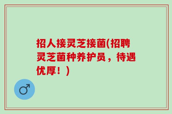 招人接灵芝接菌(招聘灵芝菌种养护员,待遇优厚!) 招人接灵芝接菌(招聘灵芝菌种养护员,待遇优厚!)