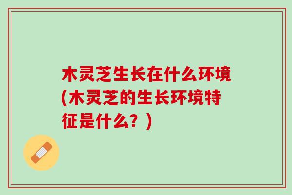 木灵芝生长在什么环境(木灵芝的生长环境特征是什么？)