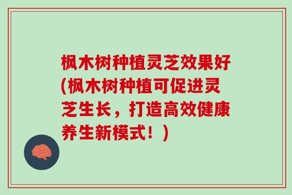 枫木树种植灵芝效果好(枫木树种植可促进灵芝生长，打造高效健康养生新模式！)