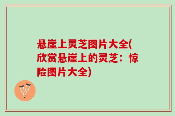 悬崖上灵芝图片大全(欣赏悬崖上的灵芝：惊险图片大全)
