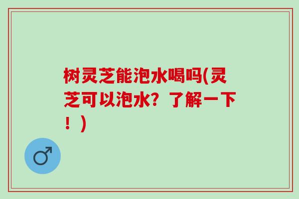 树灵芝能泡水喝吗(灵芝可以泡水？了解一下！)