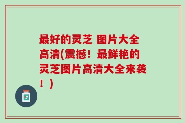 最好的灵芝 图片大全高清(震撼！最鲜艳的灵芝图片高清大全来袭！)
